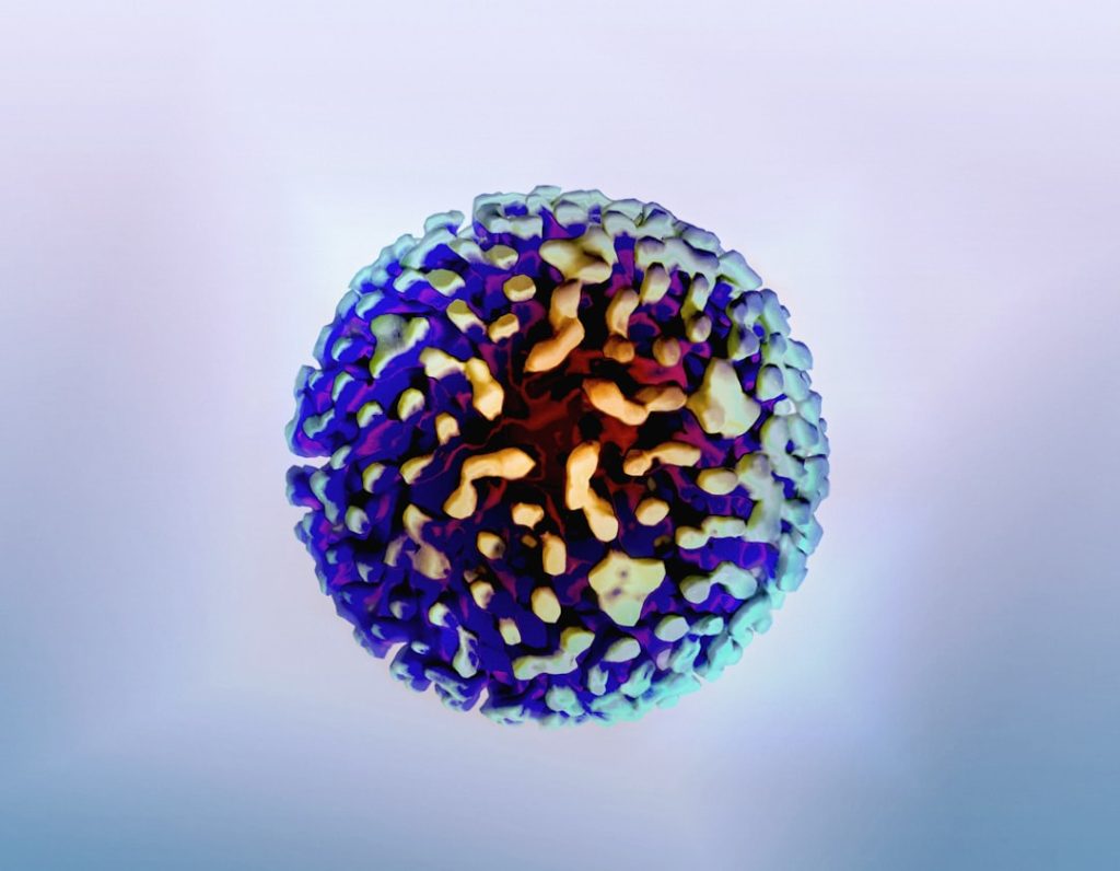 Hepatitis B Virus Colorized 3D print imagery of a hepatitis B virion. Credit: NIAID https://www.flickr.com/photos/niaid/53102614580/