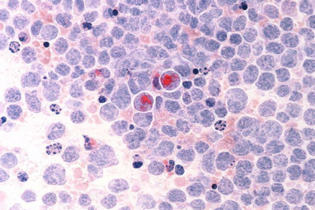 Journey Steps gpt image 1.5 high fidelity a make it 16 9