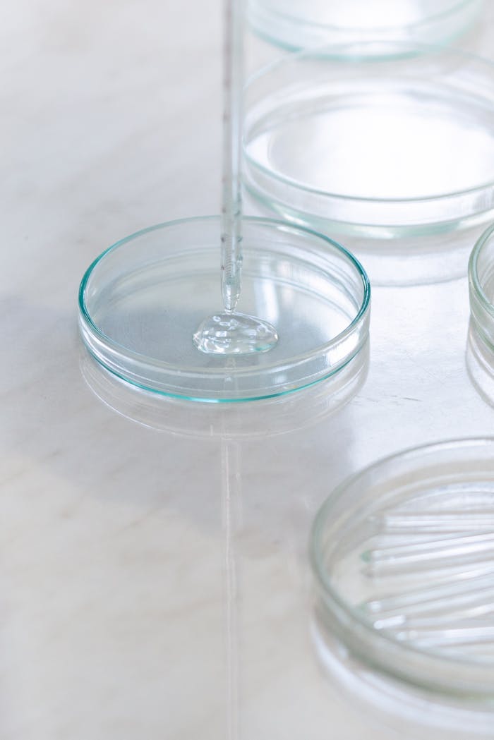 Close-up of a petri dish with a dropper, ideal for research and science imagery.