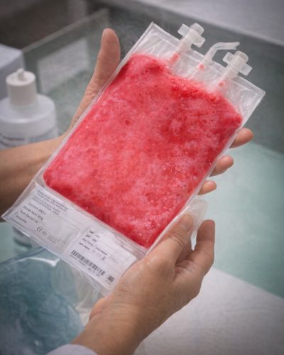 1772046730720 019c9636 3f44 7747 83d3 eec88082e36c