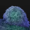 Hormone therapy