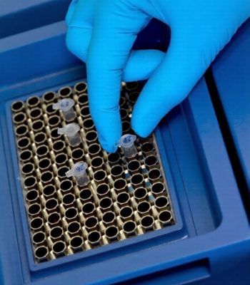 whatsapp image 2026 03 10 at 2.14.56 pm (1)