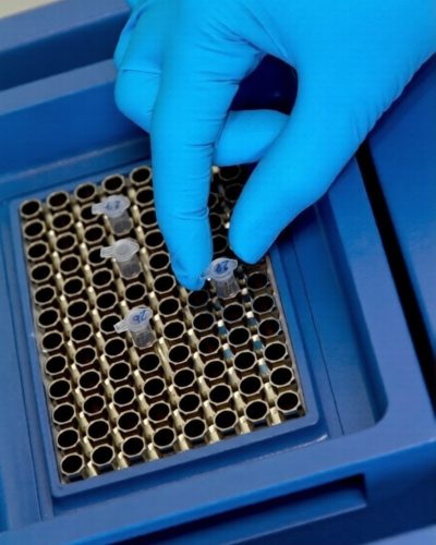 whatsapp image 2026 03 10 at 2.14.56 pm (1)