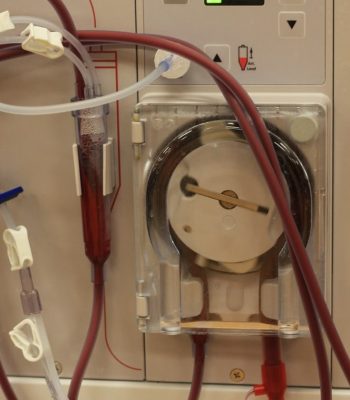 whatsapp image 2026 03 10 at 2.14.56 pm (3)