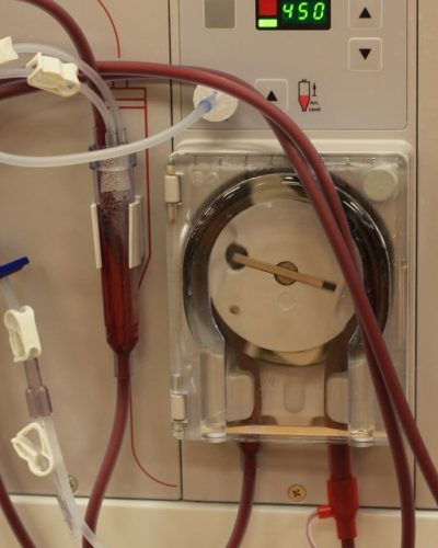 whatsapp image 2026 03 10 at 2.14.56 pm (3)