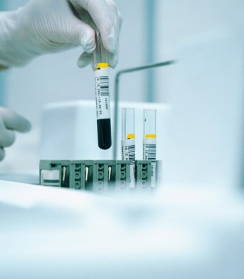 whatsapp image 2026 03 10 at 2.14.56 pm